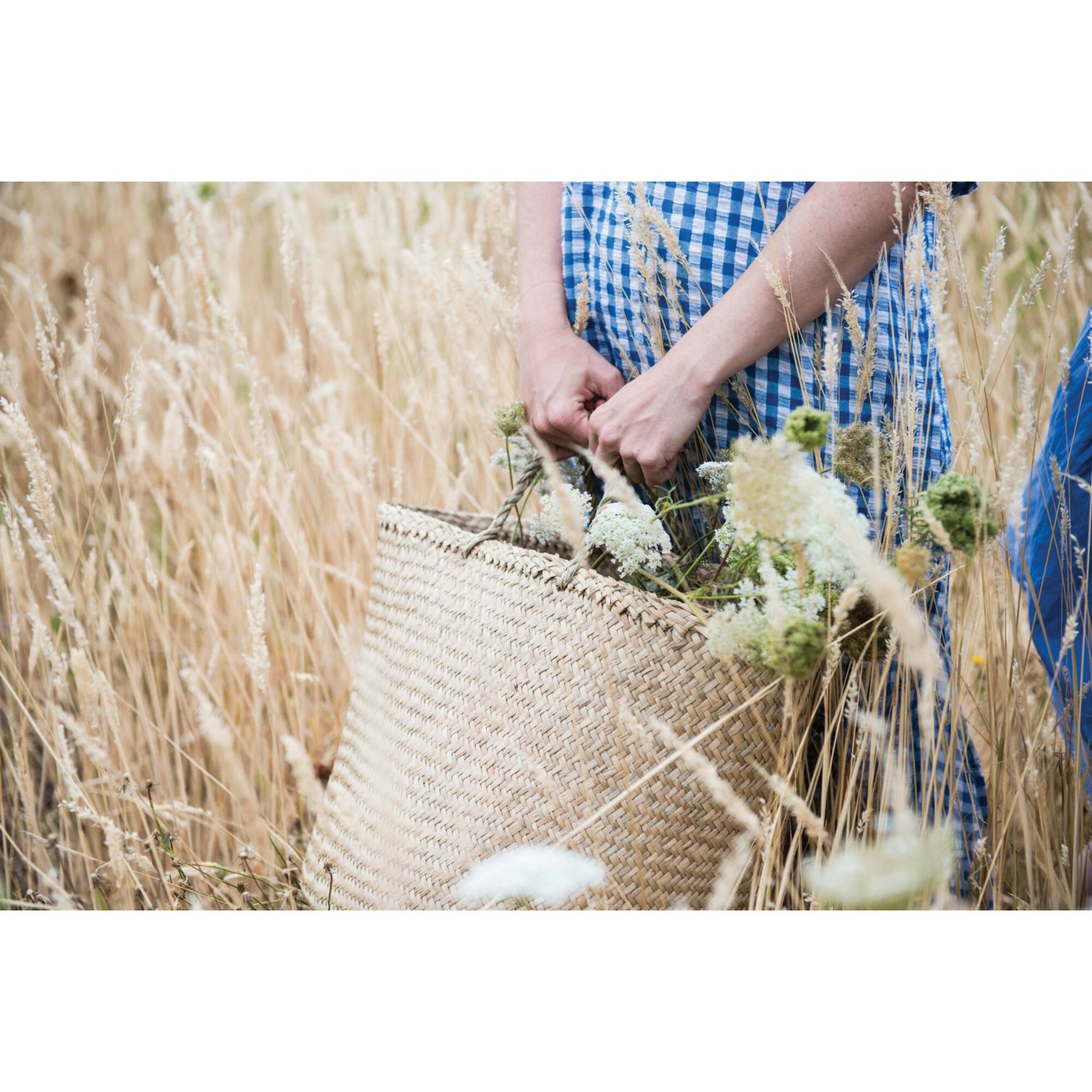Hello Honey® Beige Woven Seagrass Basket with Handles, 2ct.